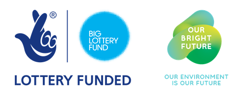 Big lottery logo